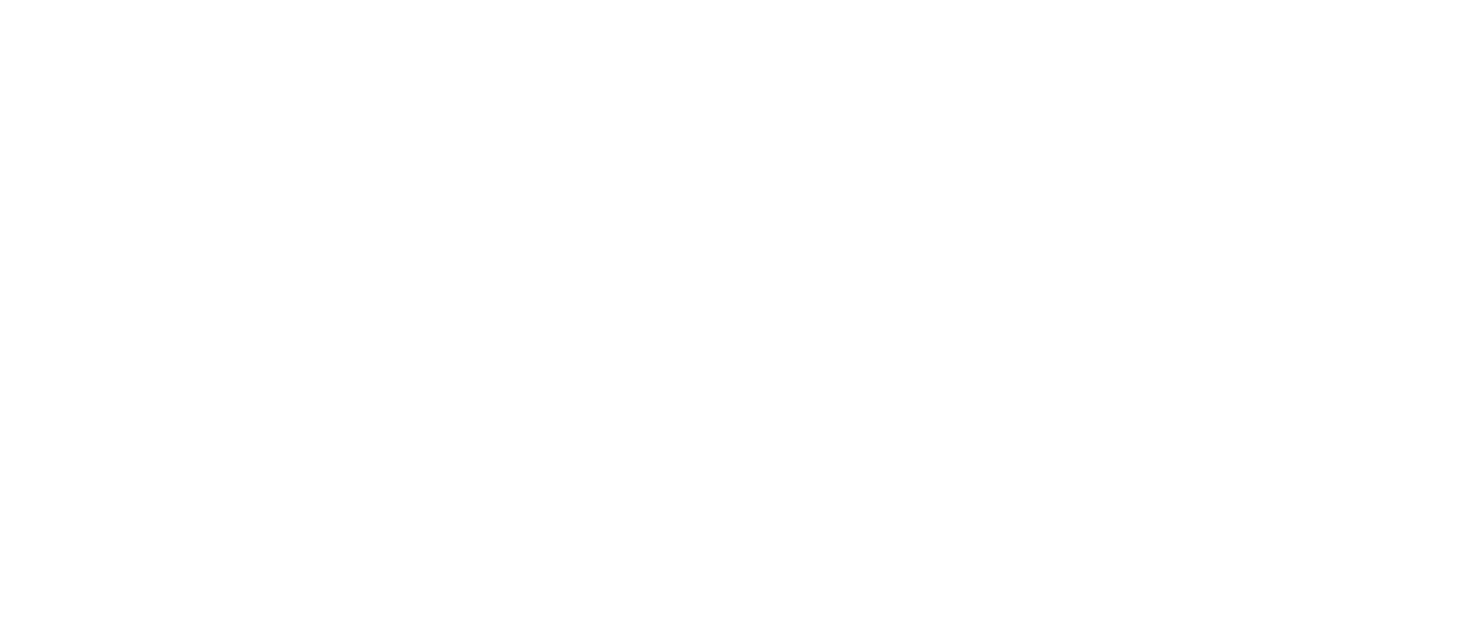 Pronext Logo white